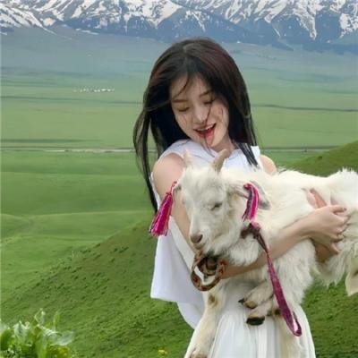 泰瑞·福克斯故事