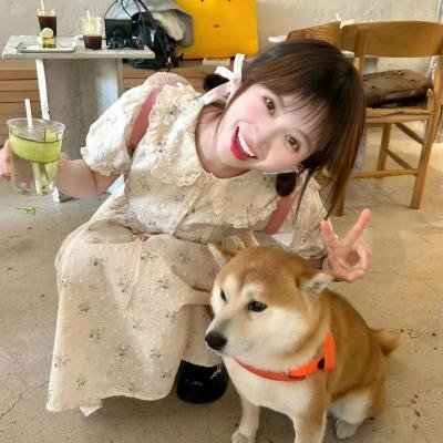岸边露伴卢浮宫之行